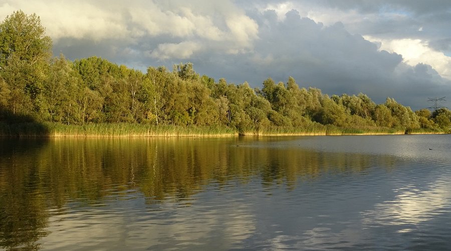 Wandeltip: ontdek de rust van het Gaasperpark