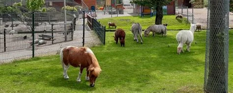 Kinderboerderij Diemen: Een oase van rust en plezier voor jong en oud